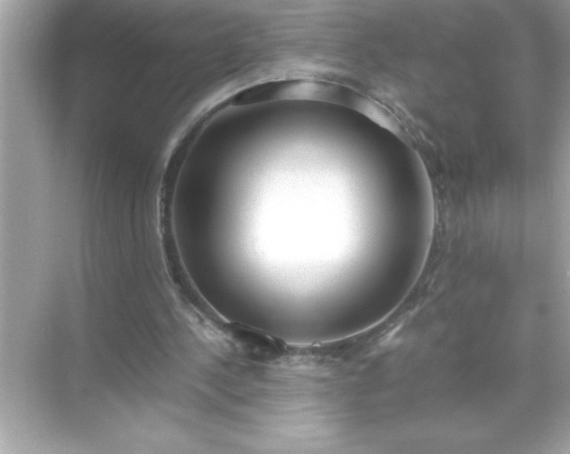 X0000071830244200607072217