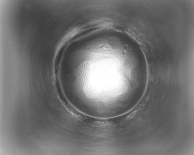 X0000071830245200607072217