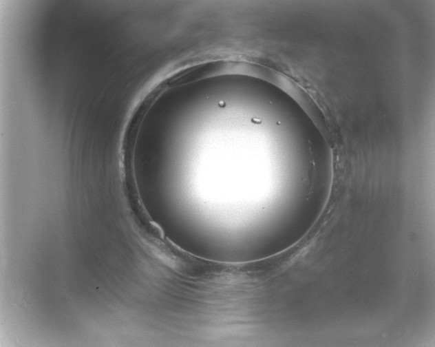 X0000071830246200607072217