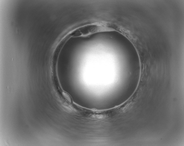 X0000071830247200607072217