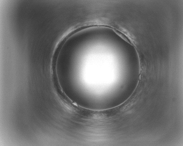 X0000071830248200607072217