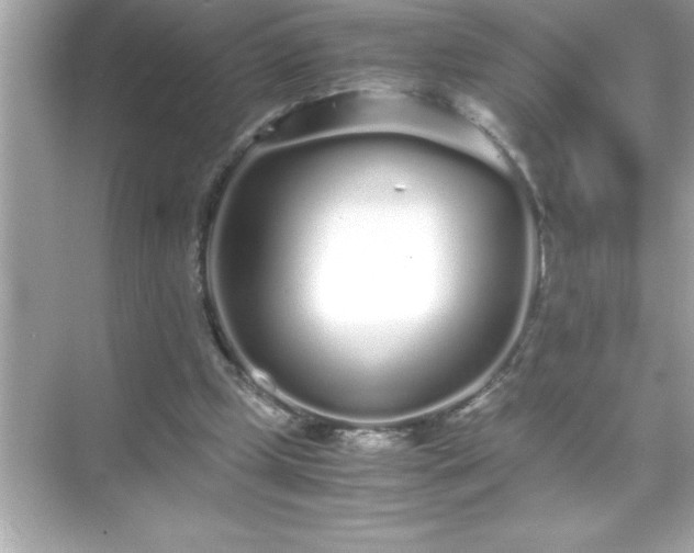 X0000071830249200607072217