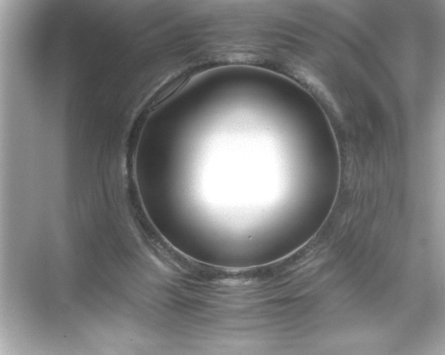 X0000071830251200607072217