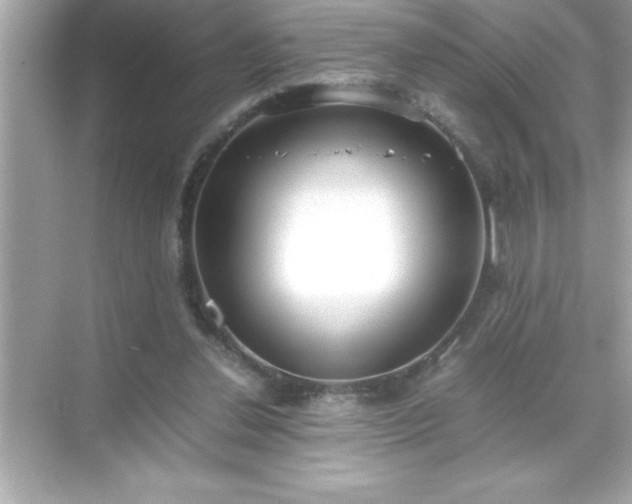 X0000071830252200607072217