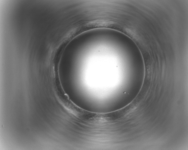 X0000071830254200607072217