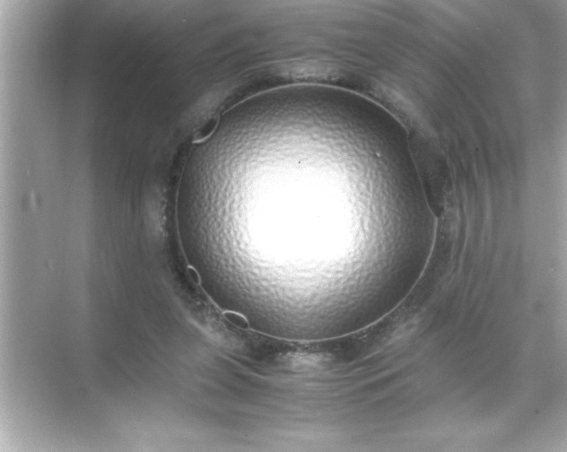 X0000071830255200607072217