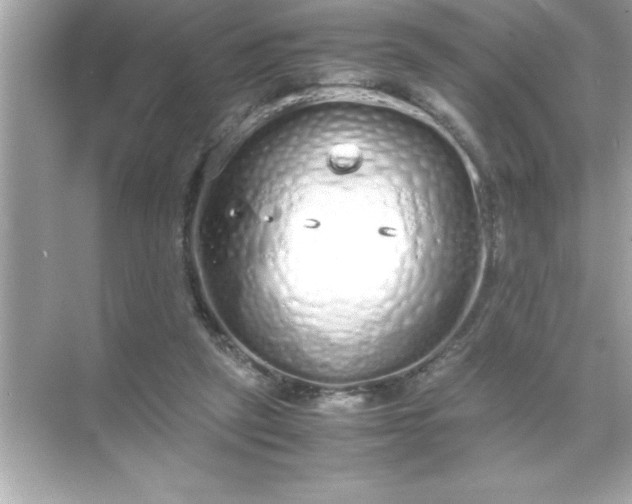 X0000071830257200607072217