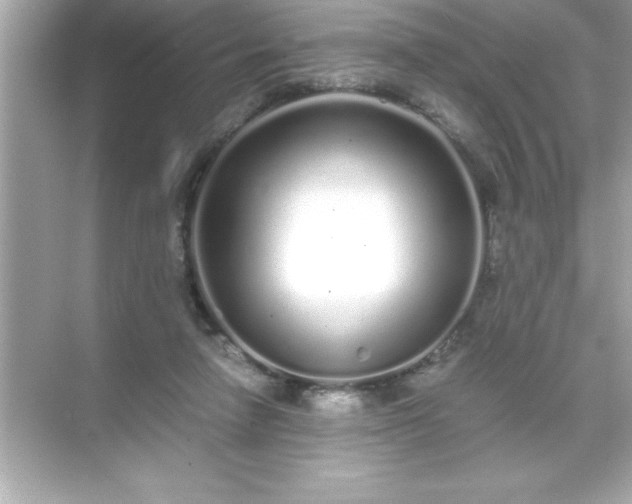 X0000071830258200607072217