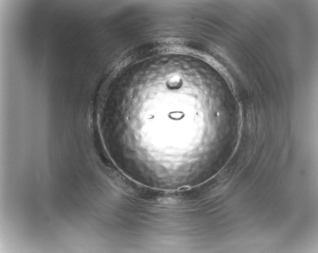 X0000071830259200607072217