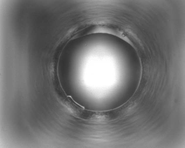 X0000071830260200607072217