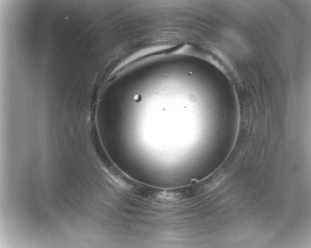 X0000071830261200607072217