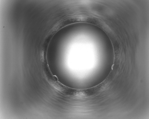 X0000071830262200607072217