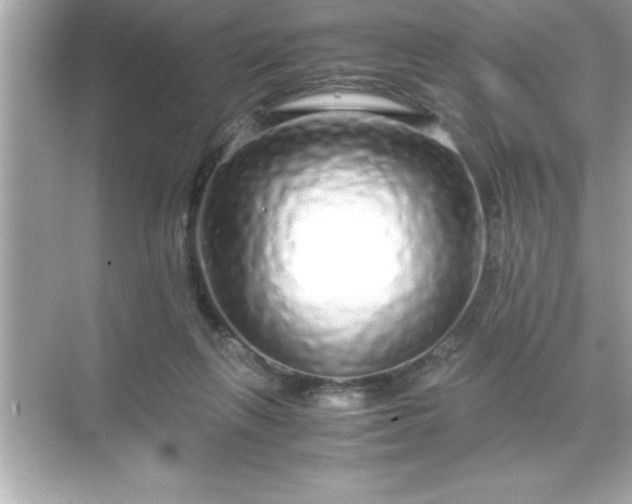 X0000071830263200607072217