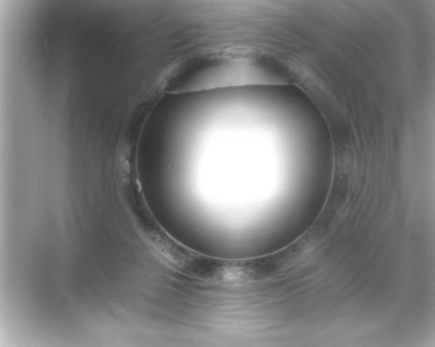 X0000071830264200607072217