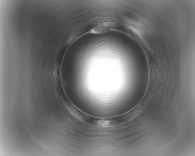 X0000071830265200607072217