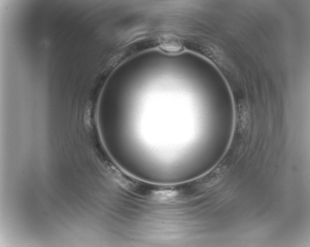 X0000071830266200607072217