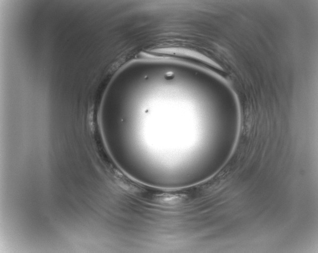 X0000071830267200607072217