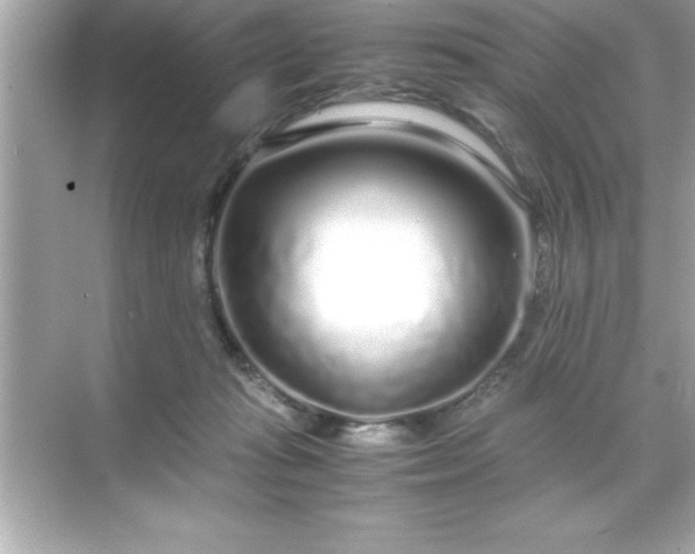 X0000071830269200607072217