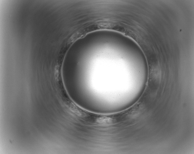 X0000071830271200607072217