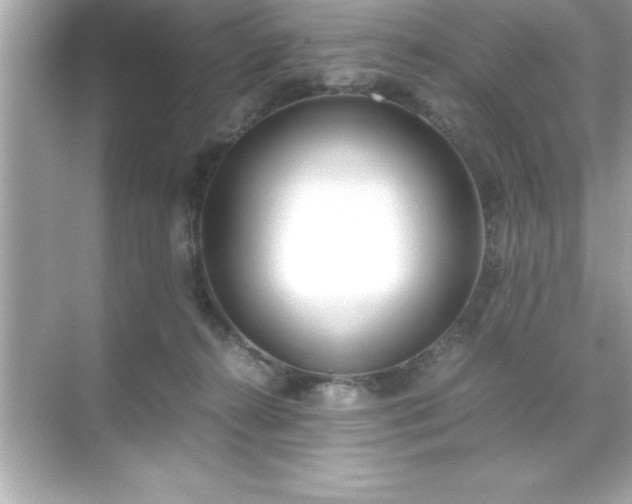 X0000071830272200607072217