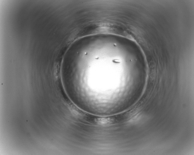 X0000071830273200607072217