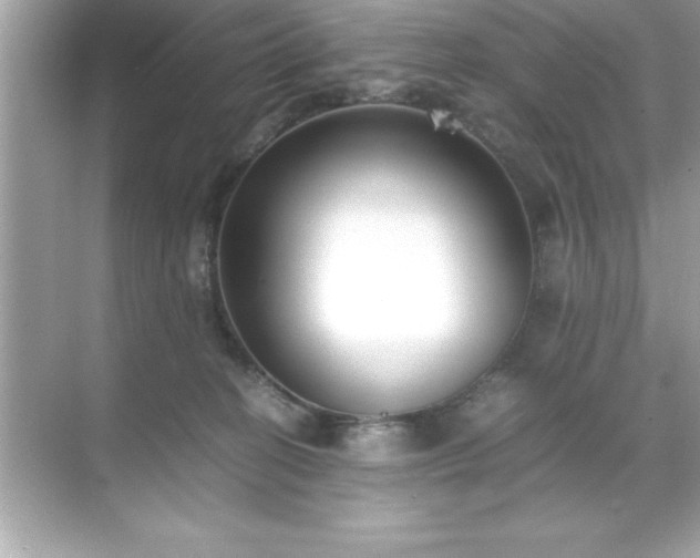 X0000071830274200607072217