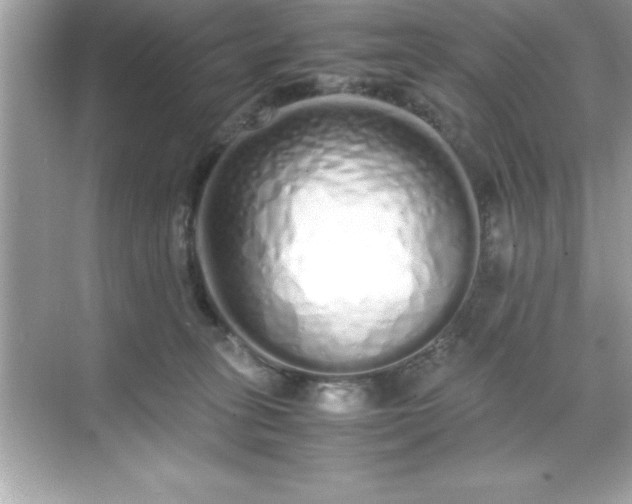 X0000071830275200607072217