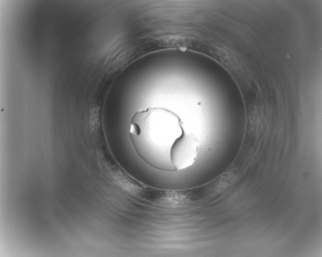 X0000071830278200607072217