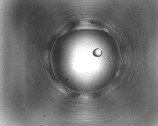 X0000071830280200607072217