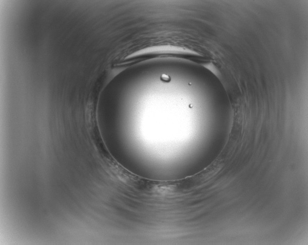 X0000071830283200607072218