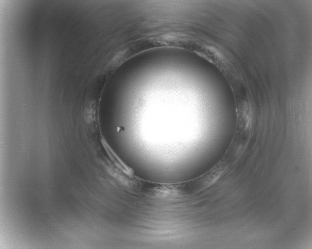 X0000071830284200607072218