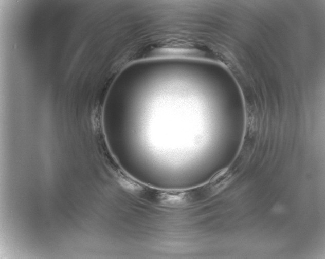 X0000071830285200607072218