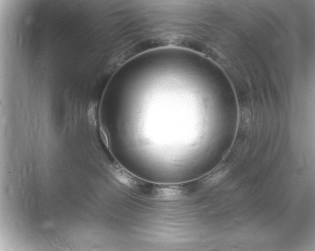 X0000071830286200607072218