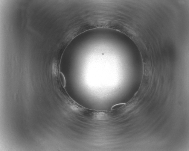 X0000071830287200607072218