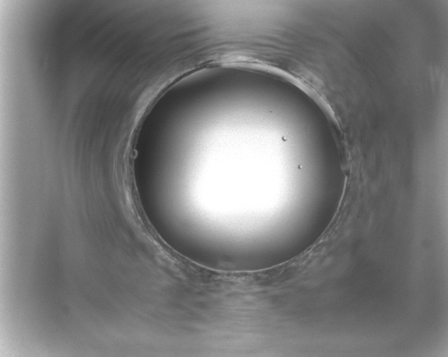 X0000071830289200607072217