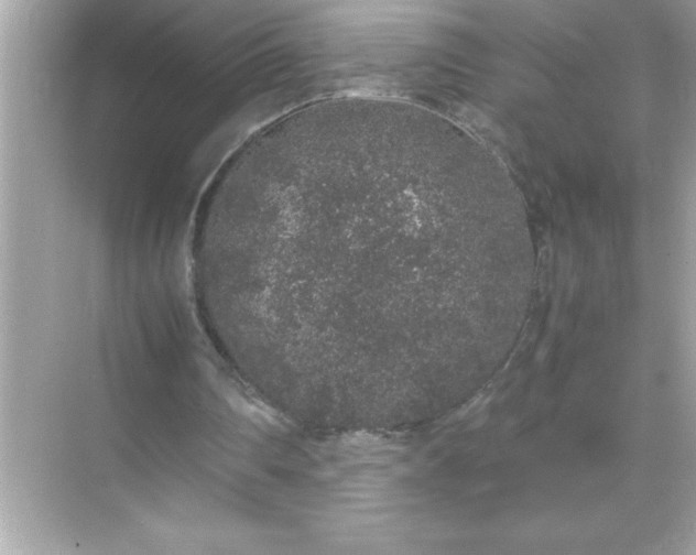 X0000071830290200607072217