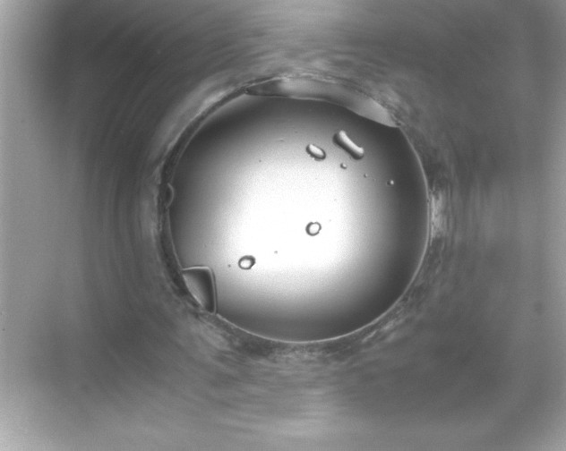 X0000071830291200607072217