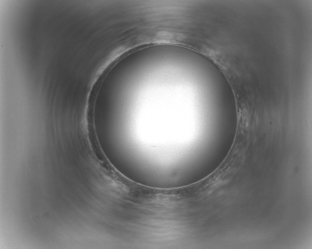 X0000071830292200607072217