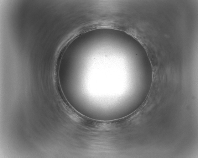 X0000071830293200607072217