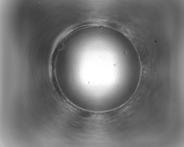 X0000071830294200607072217