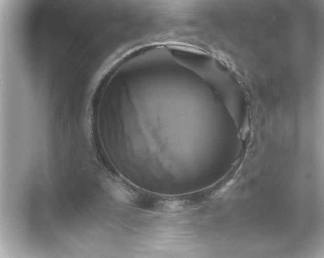 X0000071830295200607072217