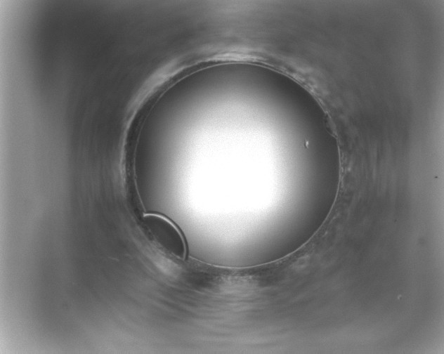 X0000071830296200607072217