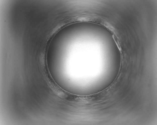 X0000071830297200607072217