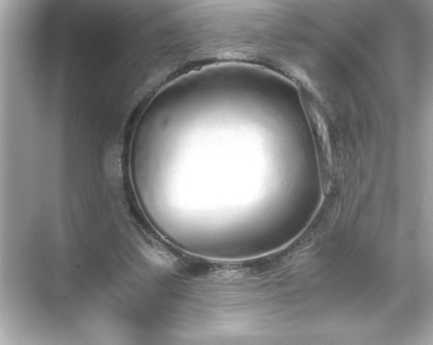 X0000071830299200607072217