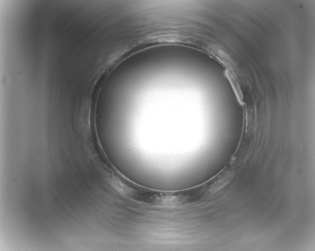 X0000071830301200607072217