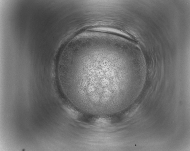 X0000071830303200607072217