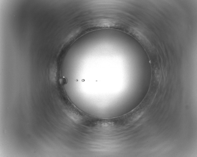 X0000071830304200607072217