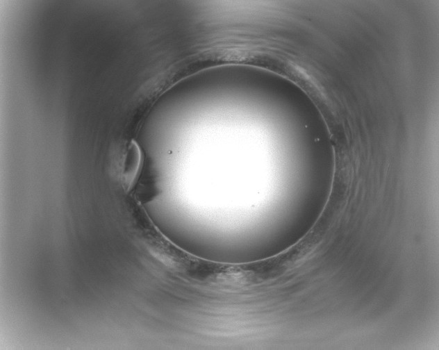 X0000071830307200607072216