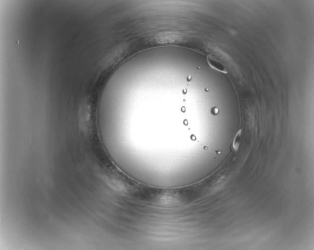 X0000071830308200607072216