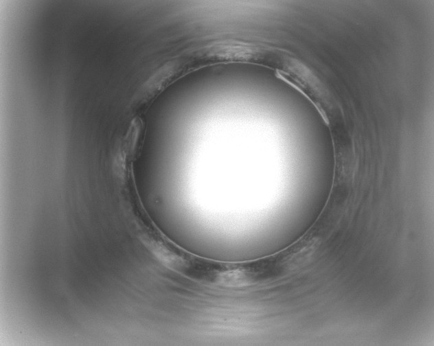 X0000071830309200607072216